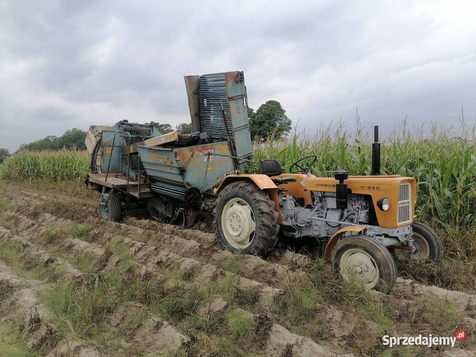 Kombajn do ziemniaków Anna Kutno