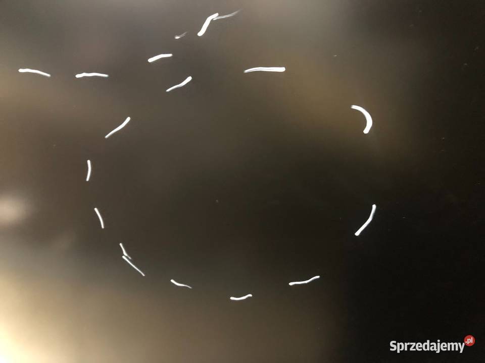 BMW Seria 3 E92 E93 przed Liftem 092006032010