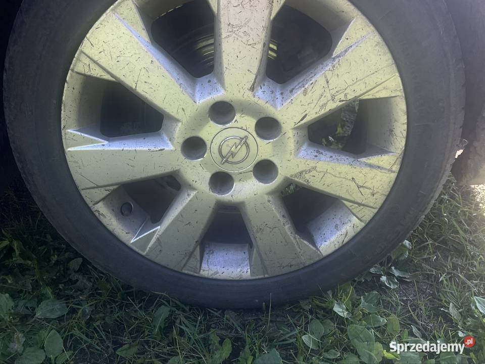 Sprzedam Opel Signum Opel Mrągowo