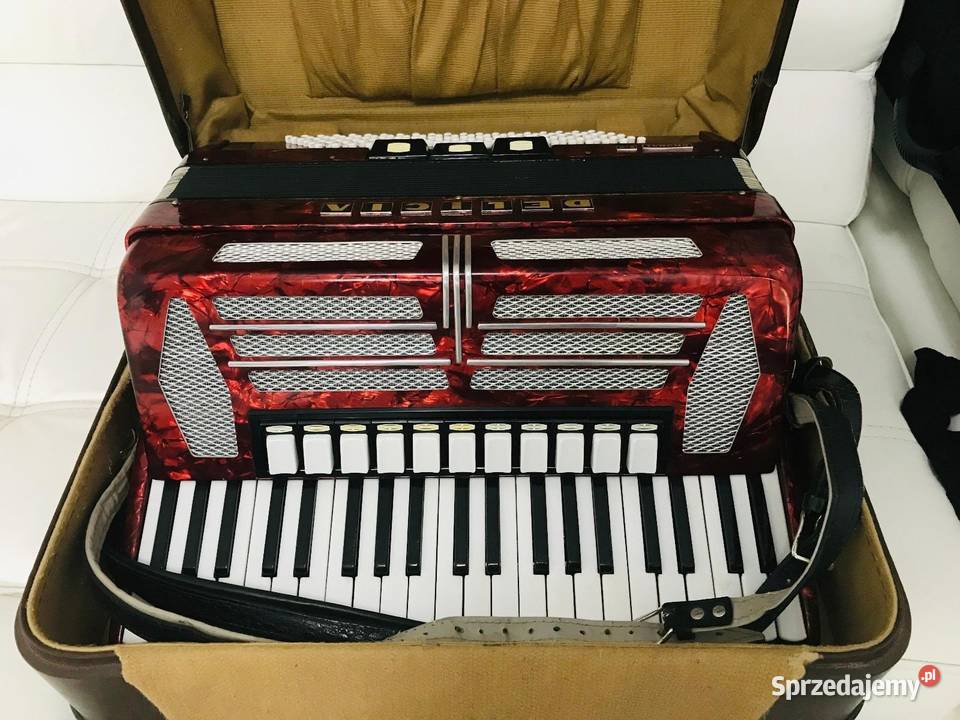Akordeon Delicja Choral VI 120 basów super stan