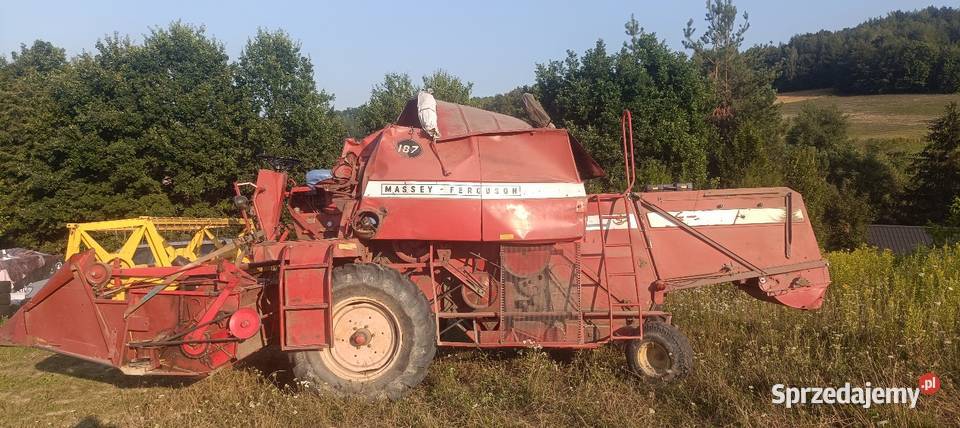 Massey Ferguson 187 sieczkarnia 3 metry koszenia sprzedam