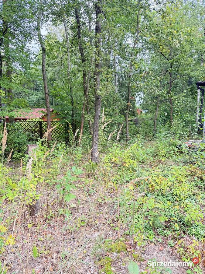 Działka budowlana w Rosanowie wz pozwolenie na budowlana Rosanów sprzedam