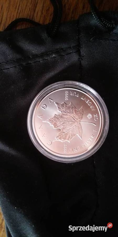 SREBRNE MONETY BULIONOWE STAN MENNICZNY OKAZJA opolskie Leśnica