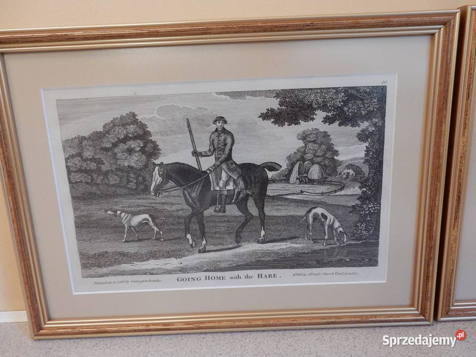 Dziesięć rycin przedstawiających konie do Piła sprzedam