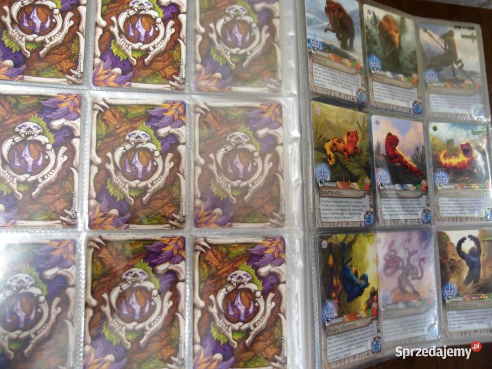Duża kolekcja Kart Fantasy Riders 336 plansza Łódź sprzedam