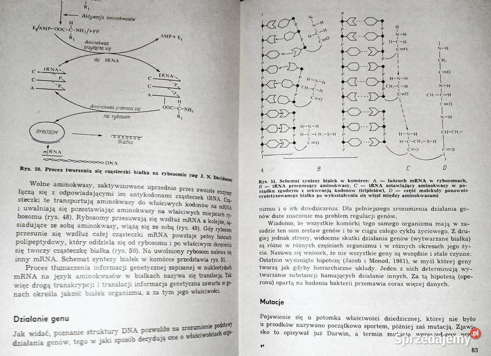 Ogólna hodowla zwierząt Bolesław Nowicki lubelskie Chełm
