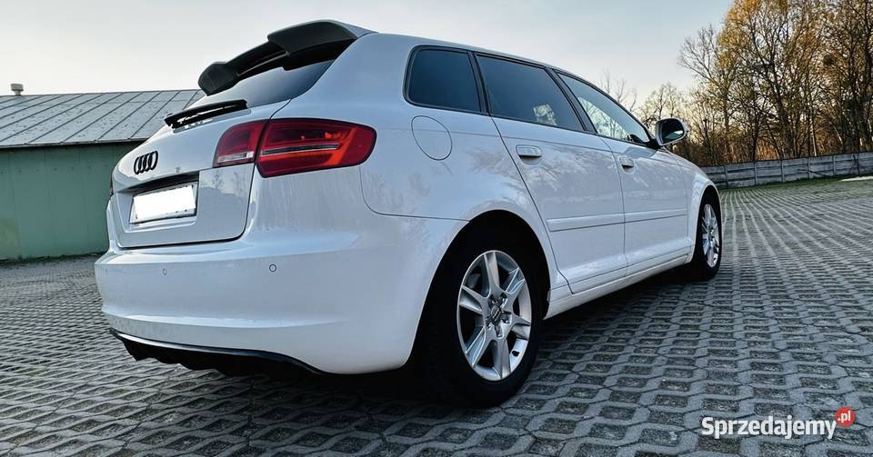 Audi A3 8P 20 TDI 170 QUATTRO Gliwice
