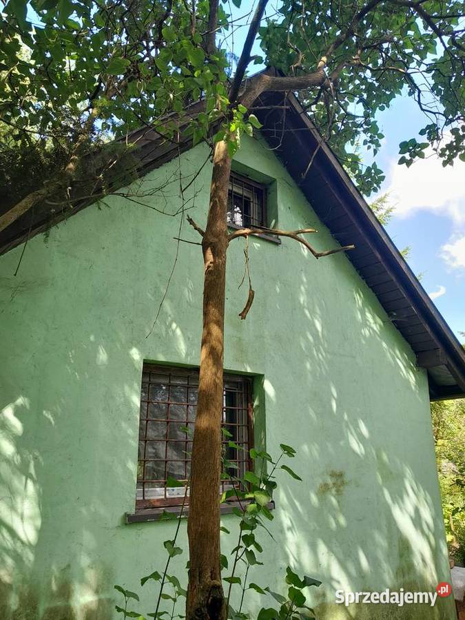 Sprzedam działkę ROD PRASKAZIELIŃSKIEGO małopolskie Kraków