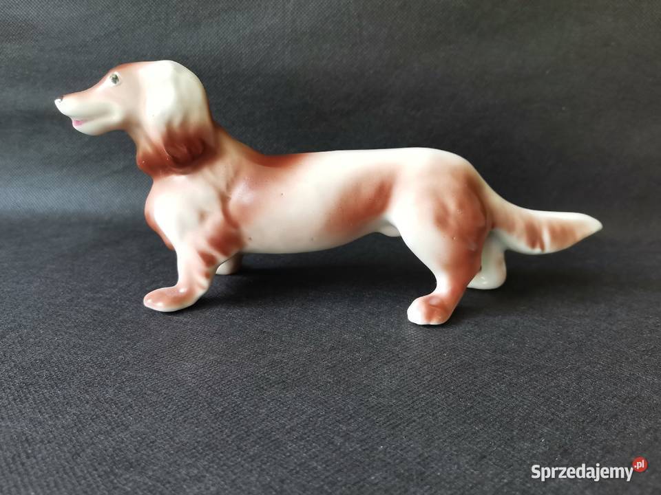 Stara figurka porcelanowa Pies Jamnik porcelana Katowice sprzedam