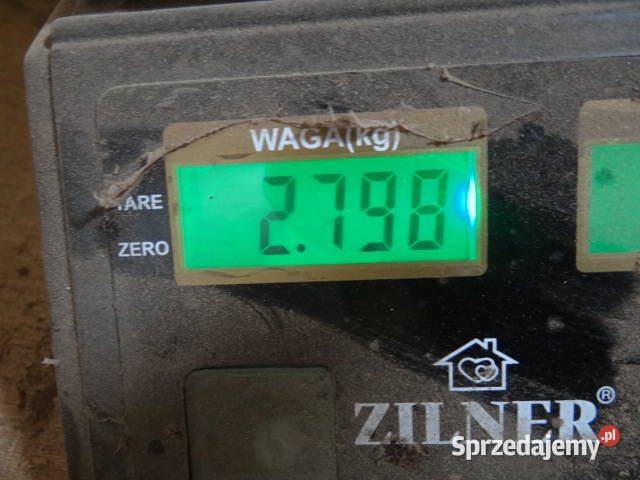 CZAPKA ŚRUB śruby ESKA 6 8 i 10 mm 24 org DDR Żary
