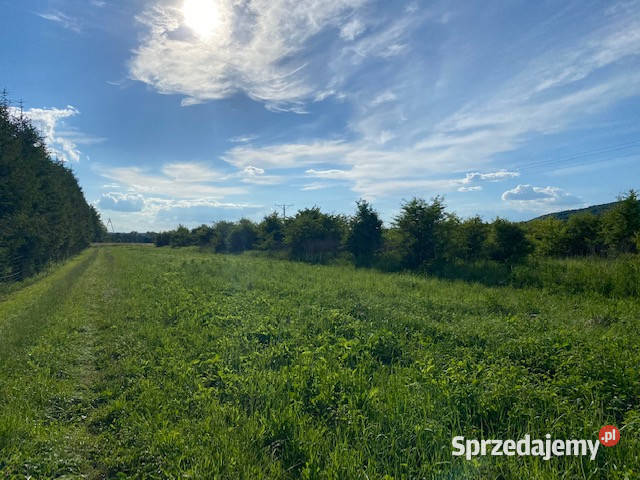 Działka Zagórz Zasław sanocki województwo 2642m2