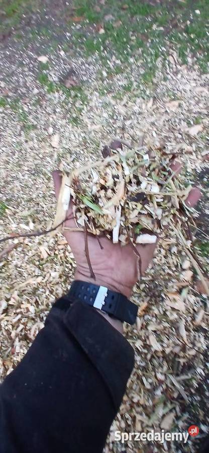 Rozdrabniacz do gałęzi Krasnystaw