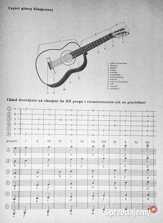 Materiały do nauki gry na gitarze Kazimierz Chełm