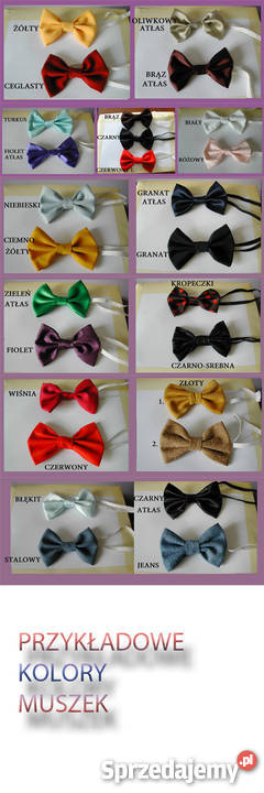 ELEGANCKA MUCHA MĘSKA MUSZKAKOLORY MUSZKI Koło