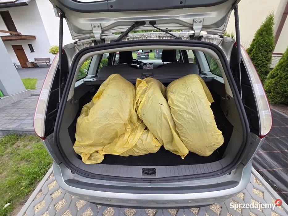 Ford Focus Lift 16 115 benzyna 2009r Climatronic Działoszyce