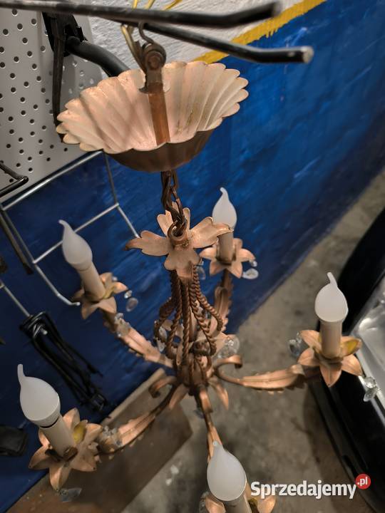 Żylador mosioc podkarpackie Dębica