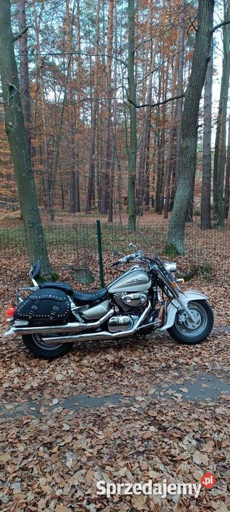 Suzuki VL 1500 Sokołów Małopolski