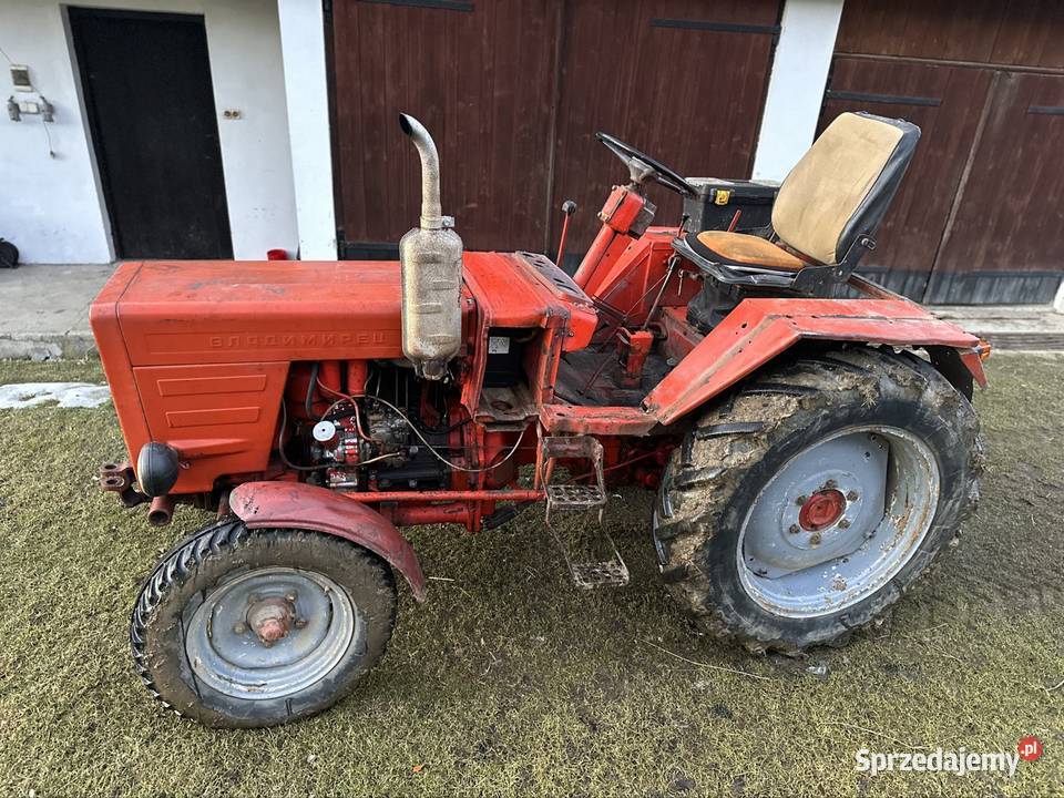 Wladymirec t25 Rusek Gruszowiec sprzedam