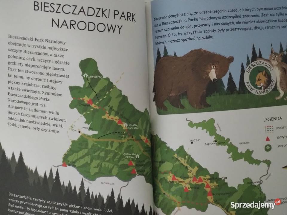 Bieszczady Przewodnik małych i dużych odkrywców Warszawa