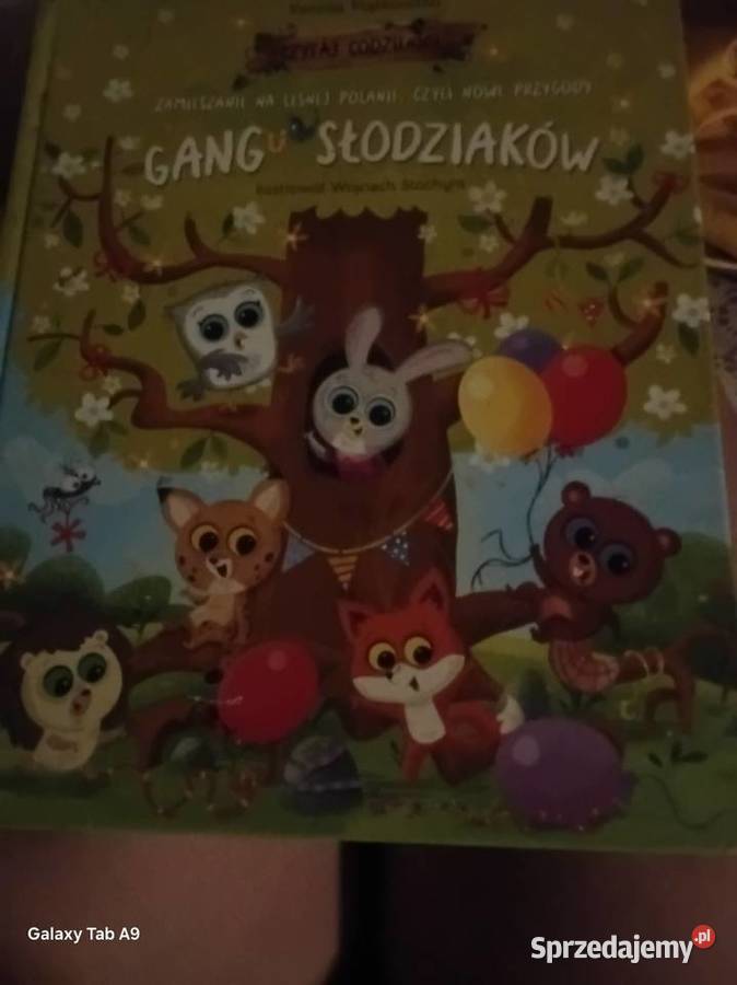 Ksiązka Kalisz