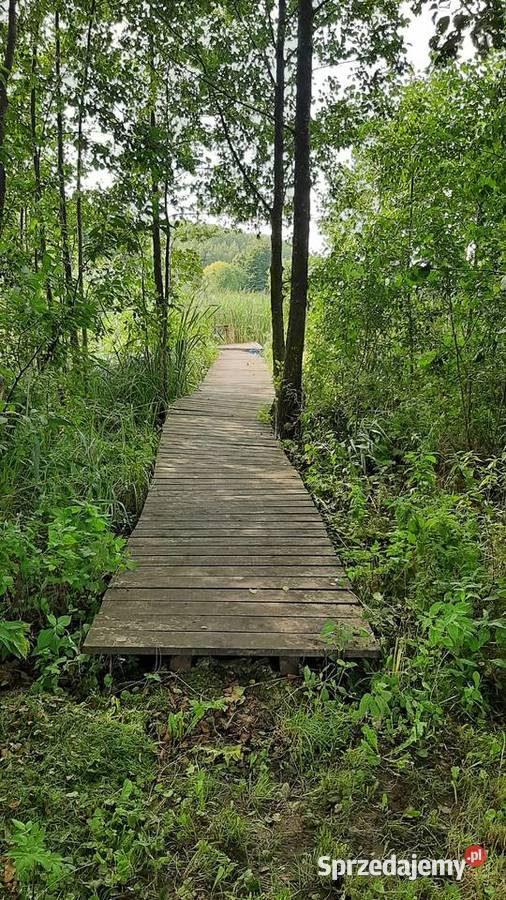 Działka na Mazurach z linią brzegową jeziorem Sprzedaż Pasym