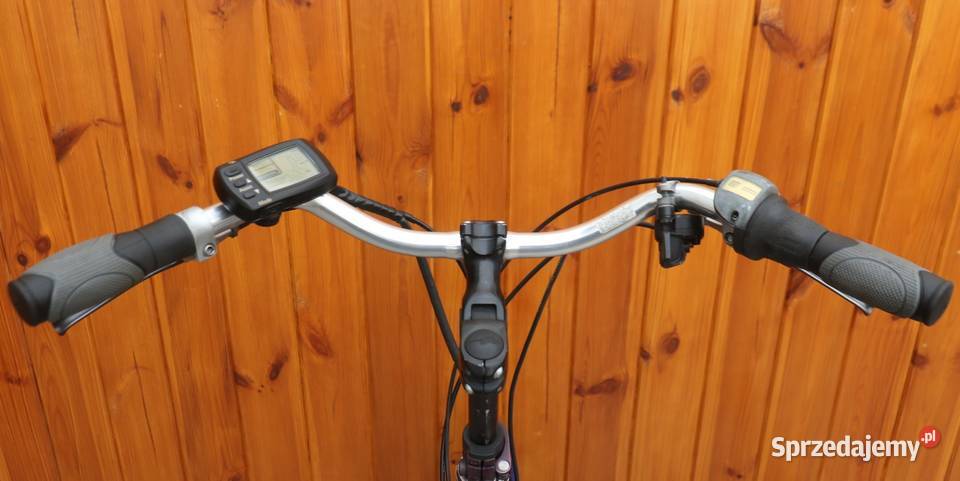 Rower elektryczny Flyer D 45 i inne rowery Milanówek sprzedam