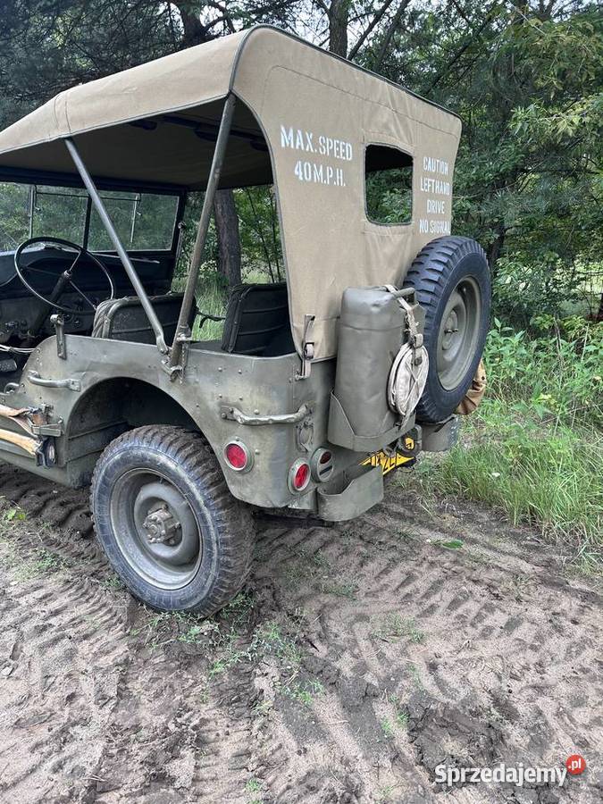 Jeep Willys MB Płock sprzedam