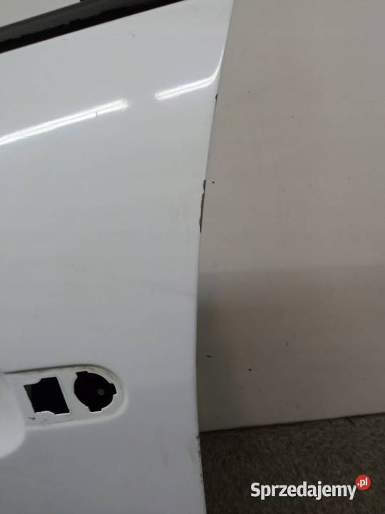 DRZWI LEWE PRZÓD DV369 Renault Scenic III 2009 osobowe sprzedam