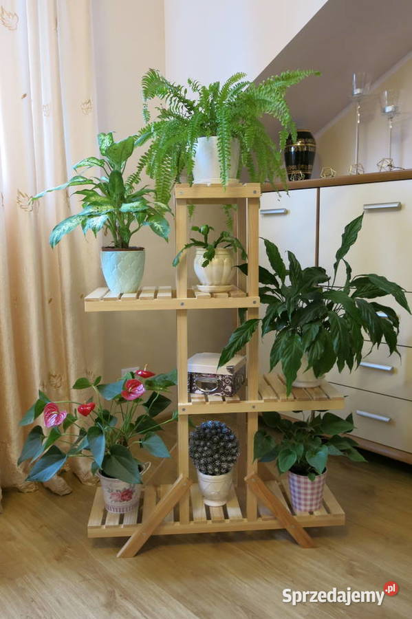 Kwietnik domowy naturalny Rytel sprzedam