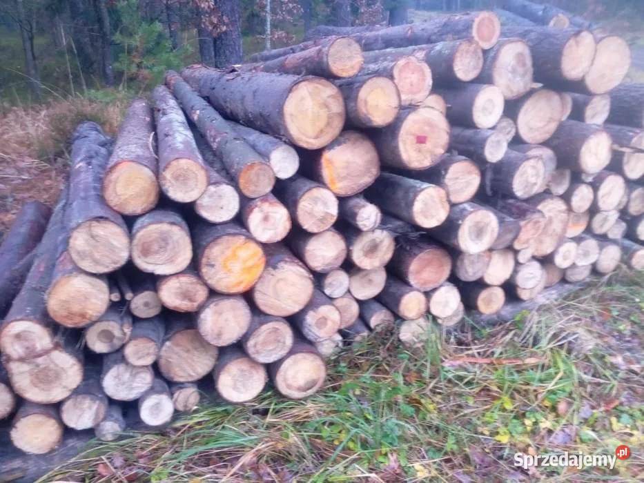 DREWNO OPAŁOWE DOSTAWA NAJWYŻSZA JAKOŚĆ Modliszewice