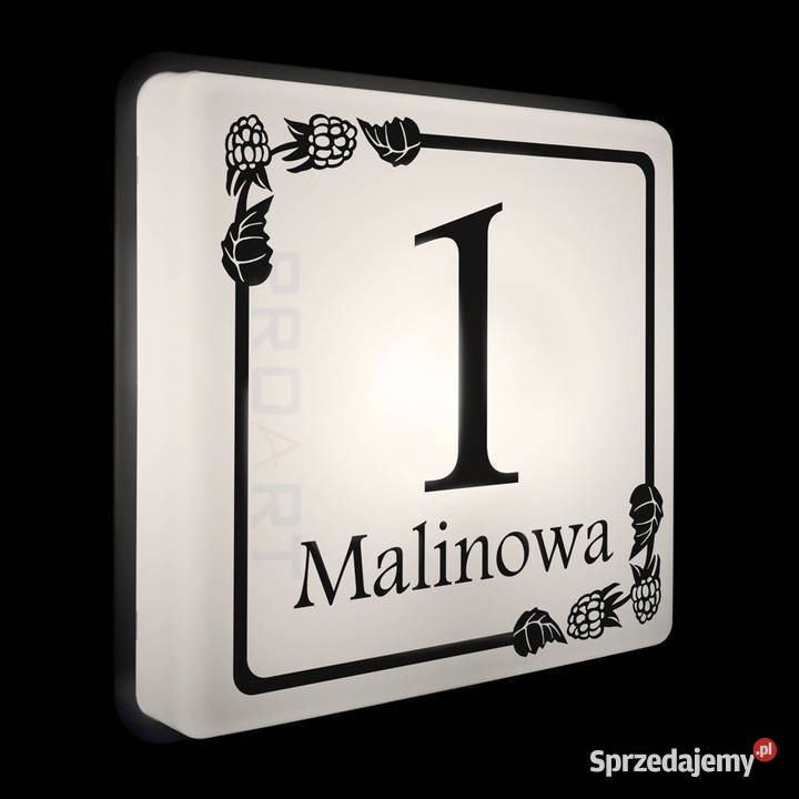 LED podświetlany NUMER na dom z MALINAMI Poznań sprzedam