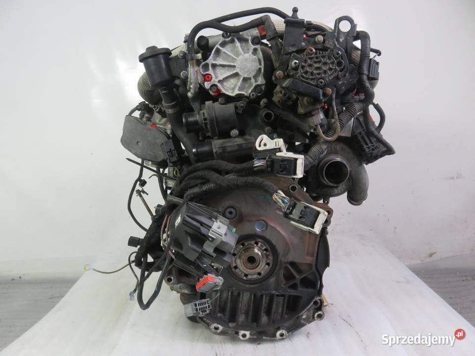 SILNIK FORD S I WA6 22 TDCi 175 Q4WA KOMPLETNY Silniki kompletne