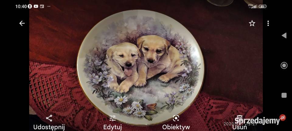 Piękny talerz kolekcjonerski Pieski porcelana dolnośląskie Wrocław