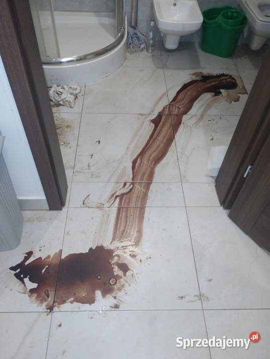 Kościerzyna Oczyszczanie strefy biologicznej i pomorskie