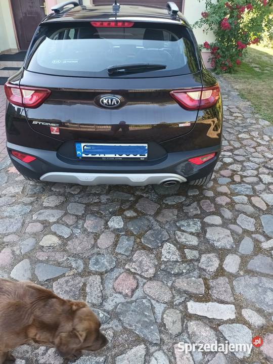 KIA STONIC 2019 Kia Pszczółki