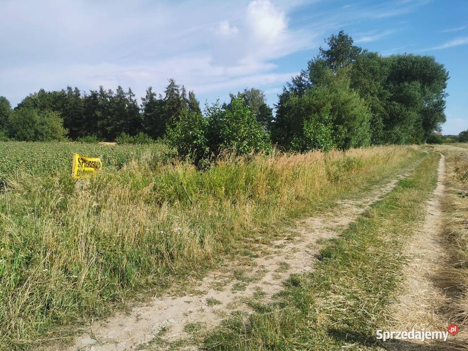 Działka rolna ziemia orna Mokrsko sprzedam