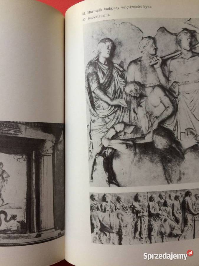 2885 Mity Rzymskie sprzedam