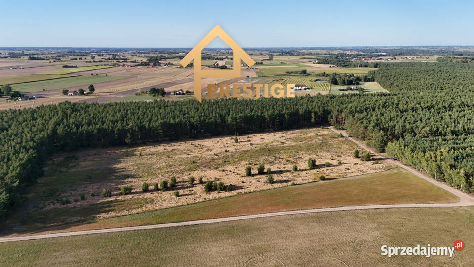 Kompleks działek budowlanych 145ha lesie 900m Żółwieniec