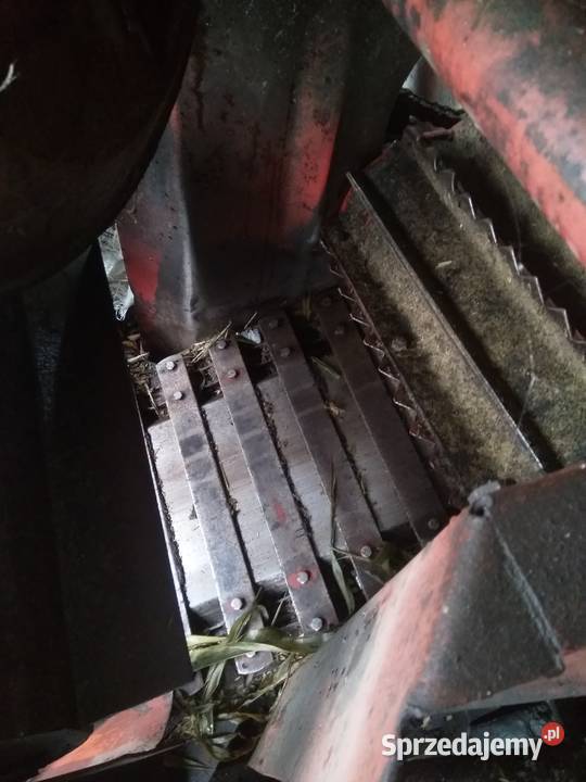 Sieczkarnia z305 Cząszczew sprzedam