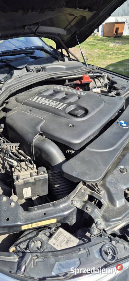 E61 CD Trawniki sprzedam