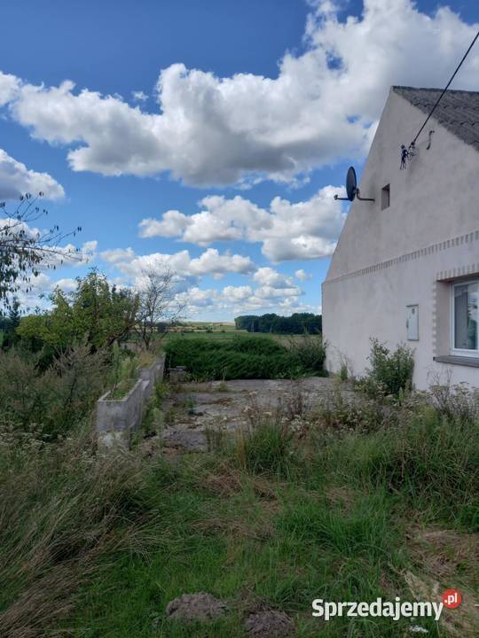 Dom 160m z działką 3700m w mieszkania Okazja Wysoka Krajeńska sprzedam