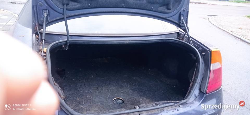 Chlysera 260 koni Sosnowiec