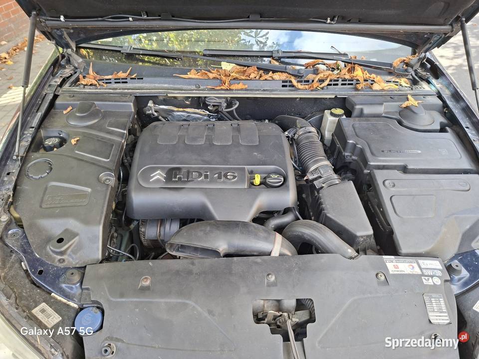 Citroen C5 20 Hdi 136 Exsclusive Skory Klima Dębno