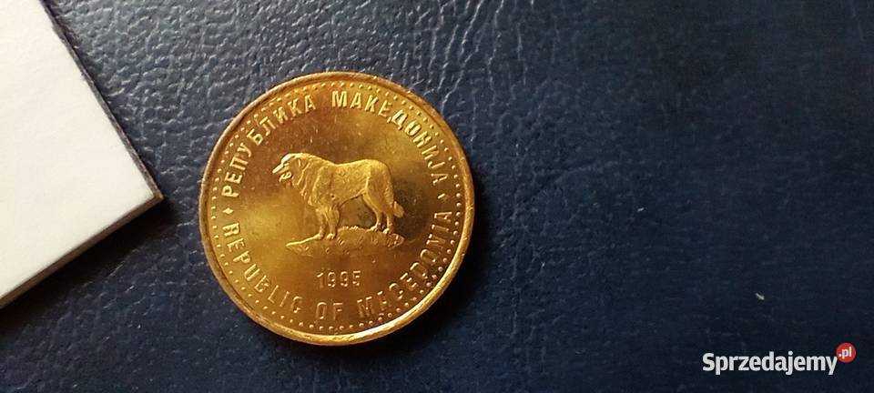 Stare monety 1 denar 1995 FAO Macedonia Północna