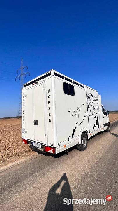 Koniowóz Sprinter do transportu koni dolnośląskie Bolesławiec sprzedam