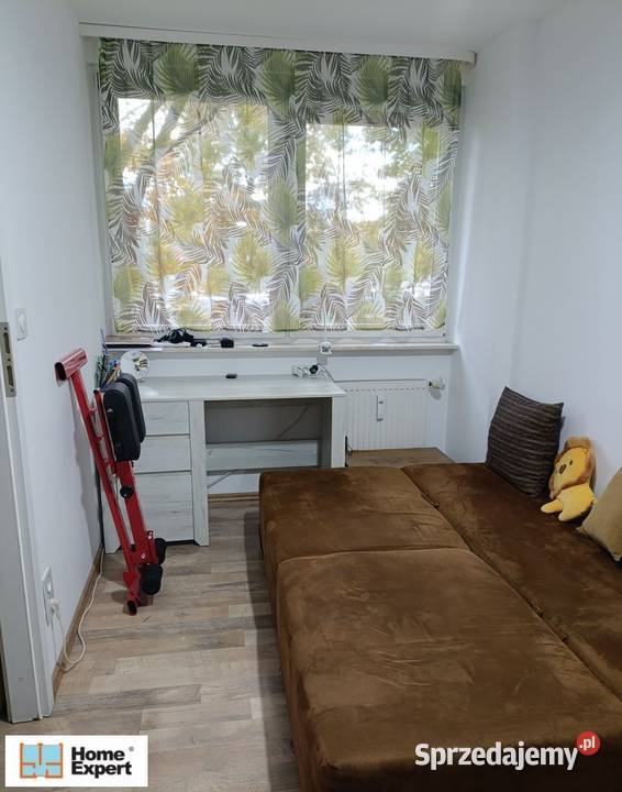 2pok 38met Prostej ROZKŁADPIWNICAWINDA Wrocław