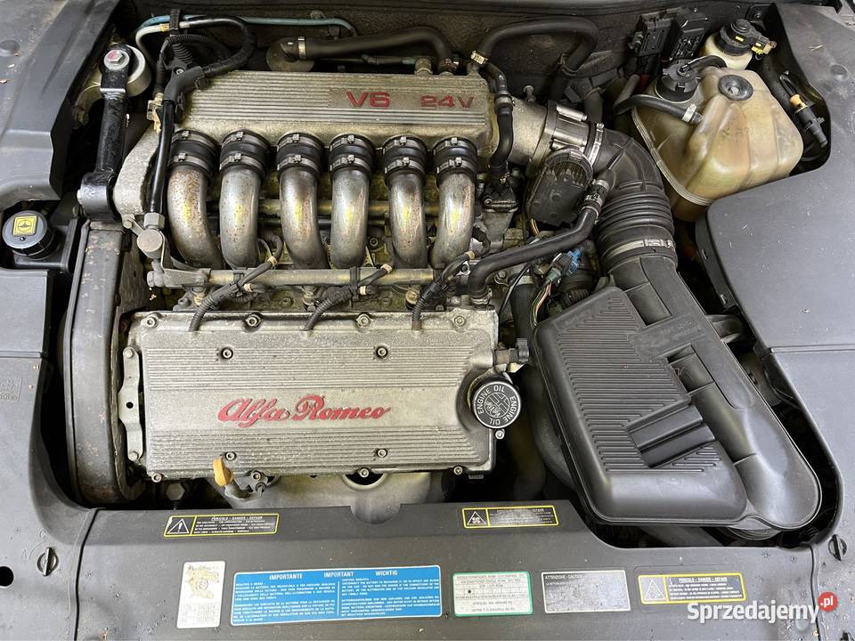 Alfa Romeo 166 30 V6 Busso Zender Szwajcaria opolskie Opole sprzedam