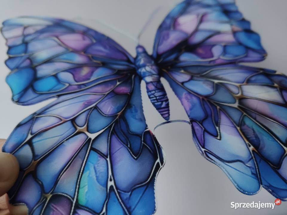 Motyl motylek nowy witraż witrażyk dekoracja mazowieckie