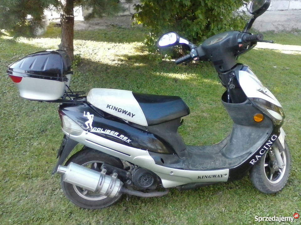 Kingway Coliber Rex Rok produkcji 2008 Brzyska