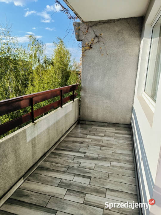 Sprzedam mieszkanie 595 m 2 pokoje Sprzedaż Żyrardów